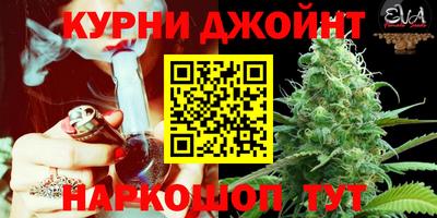 Альфа ПВП Будённовск