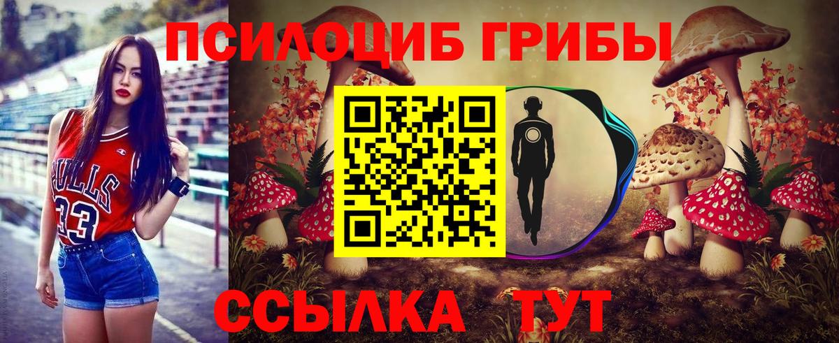 Тутаев  Псилоцибиновые грибы GOLDEN TEACHER  Вход с VPN 